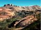 Resized Image